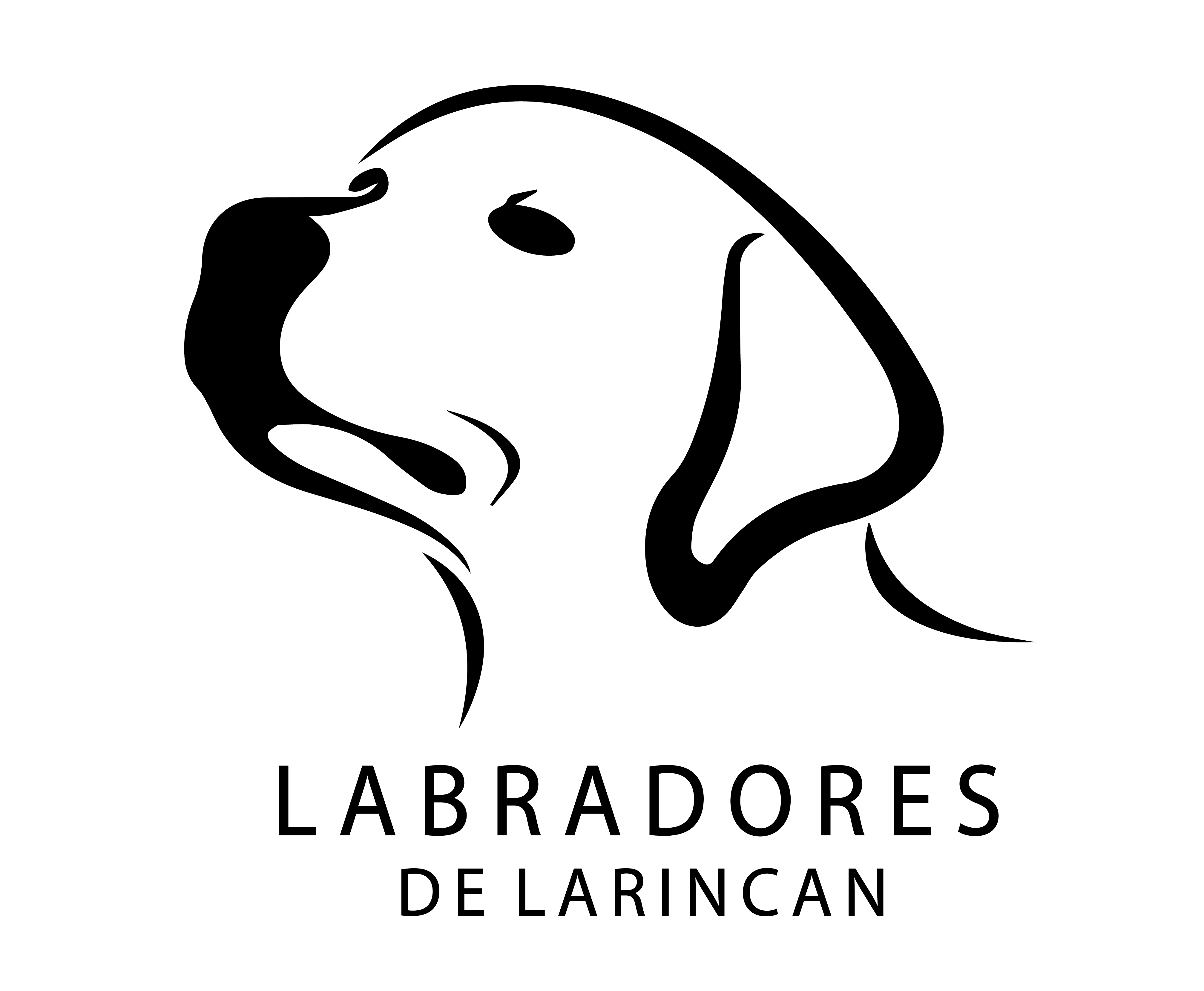 Labradores de Larincan